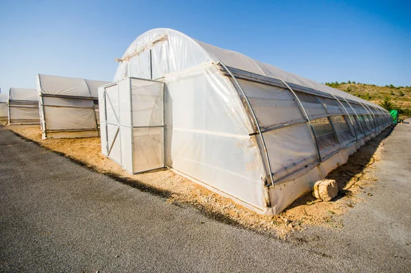 Greenhouse of flowers and plants — Stock Photo, Image