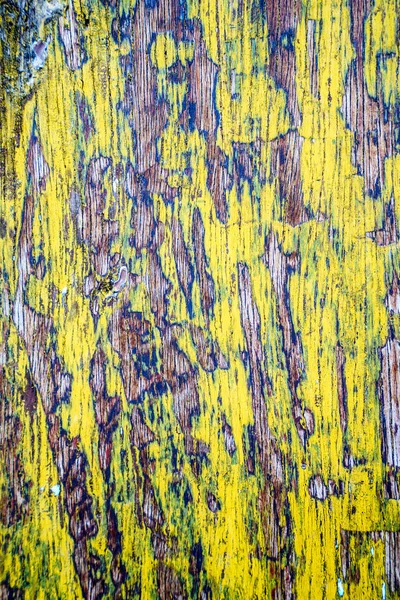 Close-up de parede de madeira texturizada — Fotografia de Stock