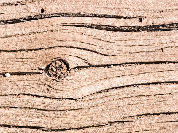 gövde arka plan yakın çekim