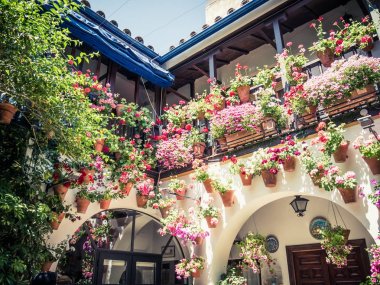 İspanya Cordoba