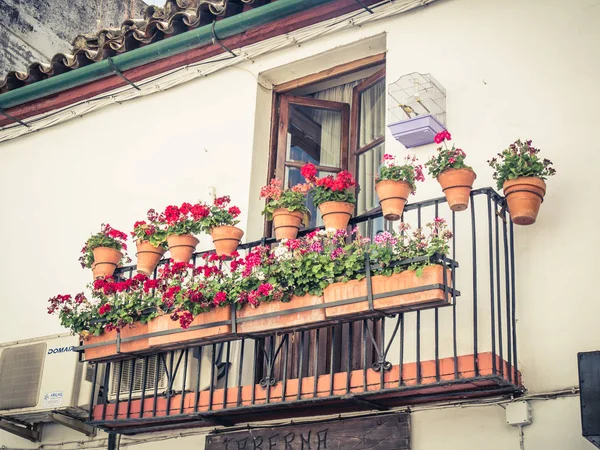 Cordoba in Spain — Stock Photo, Image