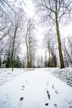 Dachau Sarayı üzerinde kış aylarında Almanya'da görüntüleyin.