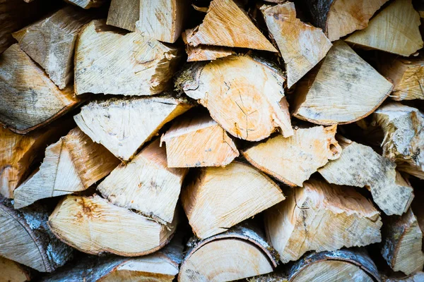 Pile de bûches en bois — Photo