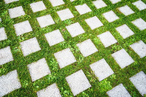 Paving stones on grass — Stock Photo, Image