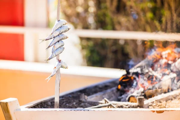 Spieß mit Sardinen (Espetos) im Feuer. typisch spanische Küche. — Stockfoto