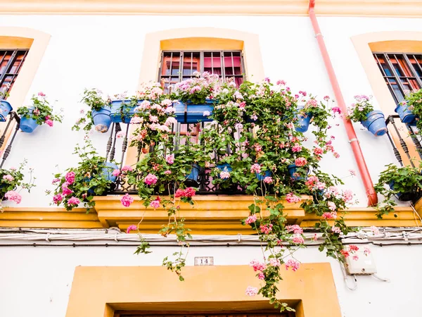 Cordoba — Stockfoto