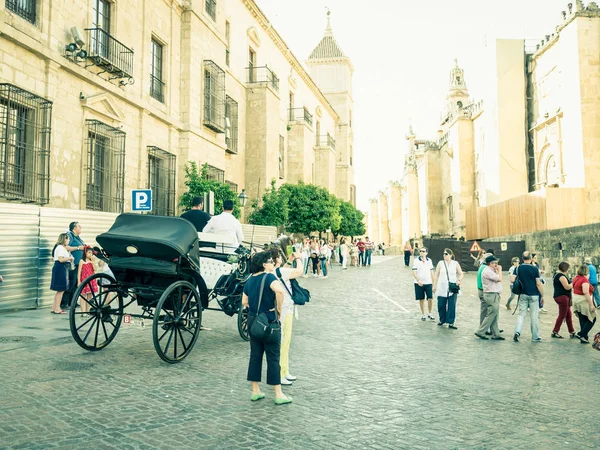 Кордова Испания Мая 2015 Года Лошадиная Карета Кордове Испания Исторический — стоковое фото