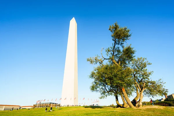 Vista para campo e grande coluna monumento — Fotografia de Stock