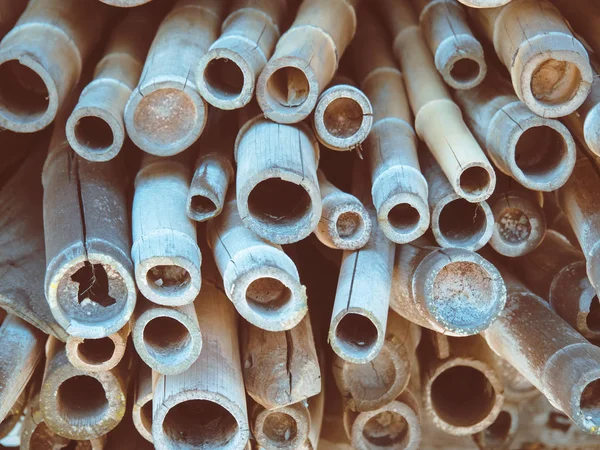 Tło japońskiego bambusa — Zdjęcie stockowe