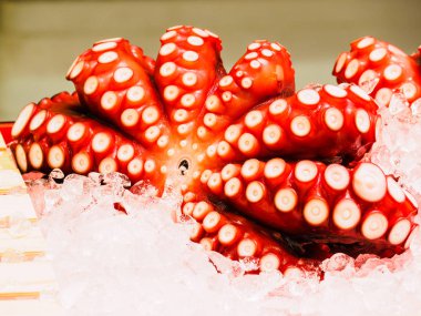 Pazarda taze ahtapot