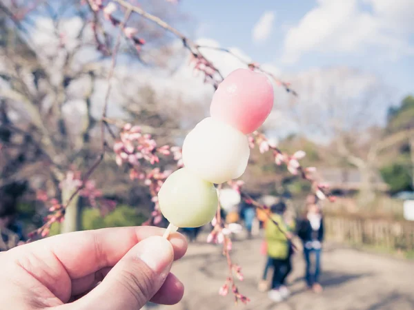 Dango，典型的日本食物 — 图库照片