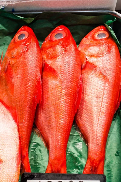 Peixes frescos num mercado — Fotografia de Stock