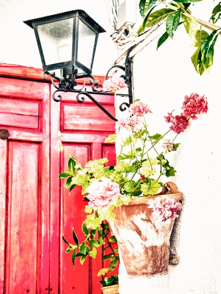 Blumen in Cordoba, Spanien — Stockfoto