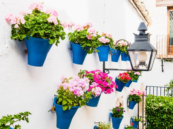 Flowers in Cordoba, Spain — Stock Photo, Image