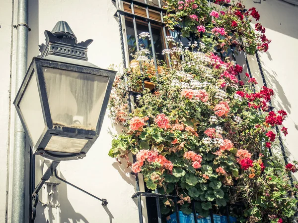 Envios de flores en Córdoba, España — Foto de Stock