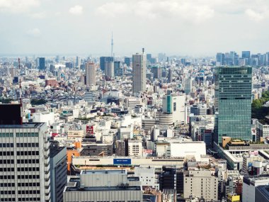 TOKYO; Japonca - 11 Nisan 2018: gökdelen bölgesi. Japonya 'nın 47 ilinden birisidir ve Japonya' nın hem başkenti hem de en büyük şehridir. Büyük Tokyo Bölgesi dünyanın en kalabalık metropoliten alanıdır..