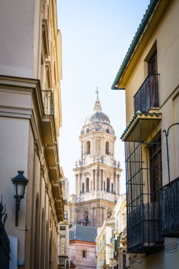 MALAGA, İspanya - 23 Ocakta Malaga, Spai 'deki Katedral' e bakın