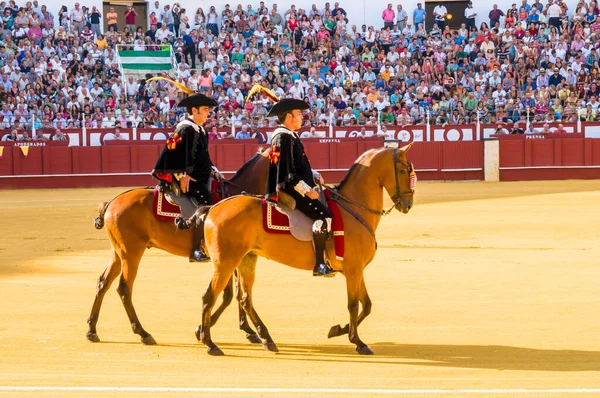 Malaga Španělsko August Býčí Zápasy Malagueta Srpna 2014 Malaze Španělsku — Stock fotografie
