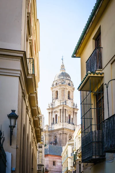 Malaga Spanien Januari Utsikt Över Katedralen Solljus Den Januari Malaga — Stockfoto