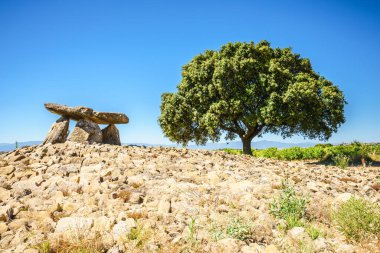 Meşhur Alava simgesi manzarası - İspanya 'da güneş ışığında büyük bir ağacın olduğu megalitik bir mezar.