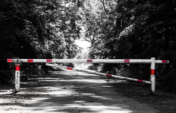 Barreira cruzando um caminho na floresta — Fotografia de Stock