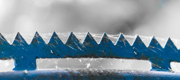 tepesine bir örümcek ağı tarafından örtülü bir çit zikzak mavi yıpranmış