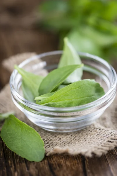 Fresh Stevia leaves — Stock Photo, Image