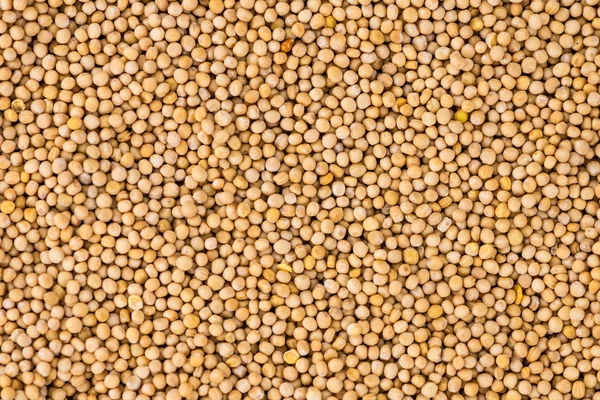 Portion of Seeds (Mustard) (selective focus) — Stock Photo, Image