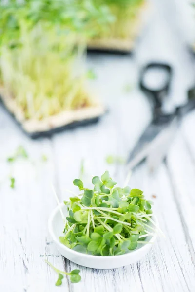 Gedeelte van verse Cress — Stockfoto