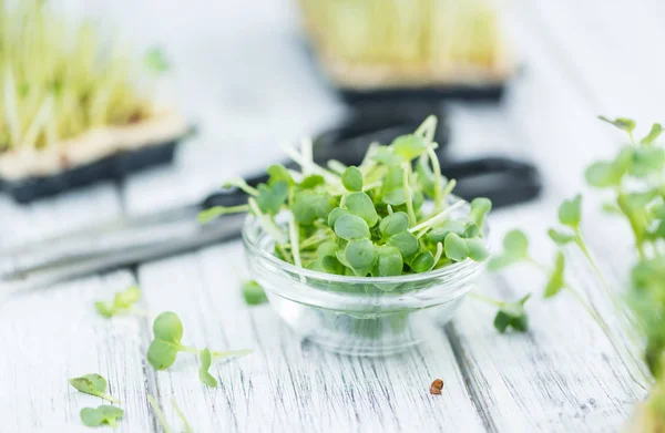 Fresh cutted Cress — Stock Photo, Image