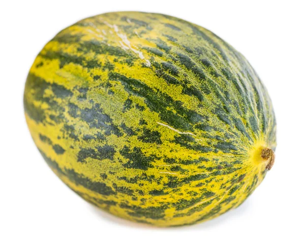 Futuro Melon fruit — Zdjęcie stockowe