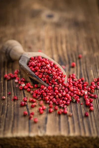 Portion frische rosa Pfefferkörner — Stockfoto