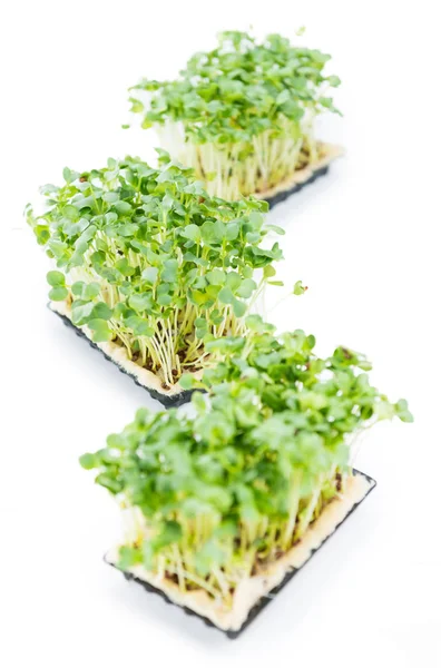 Cress isolated on white — Stock Photo, Image