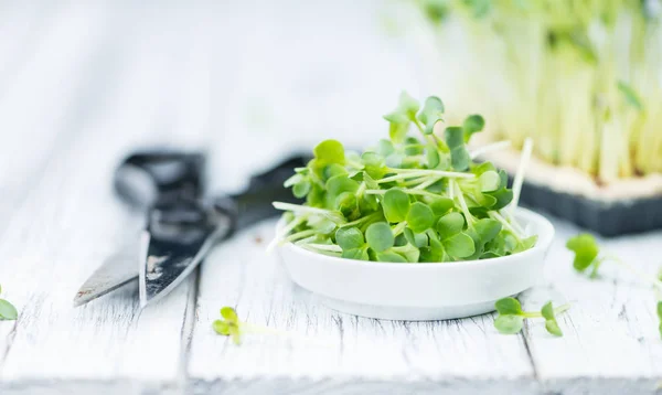 Taze kesilerek Cress — Stok fotoğraf