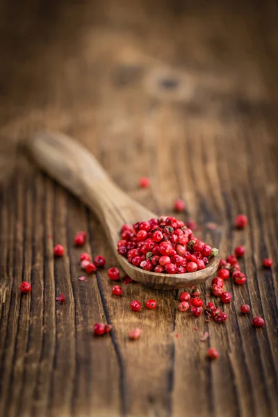 Frische rosa Pfefferkörner — Stockfoto