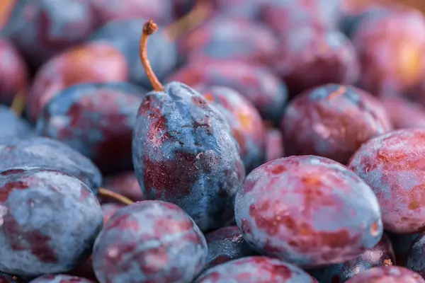 Plums on a vintage background — Stock Photo, Image