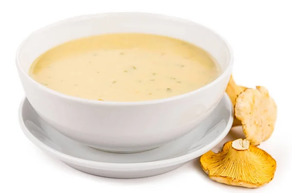 Chanterelle Soup isolated on white background — Stock Photo, Image