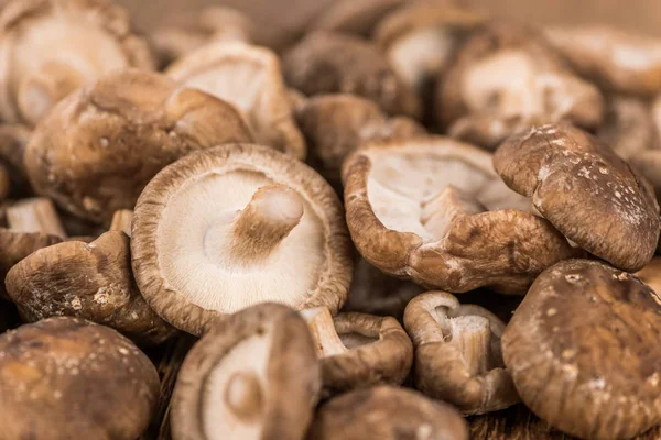 Portion of Raw Shiitake mushrooms, selective focus — Stock Photo, Image