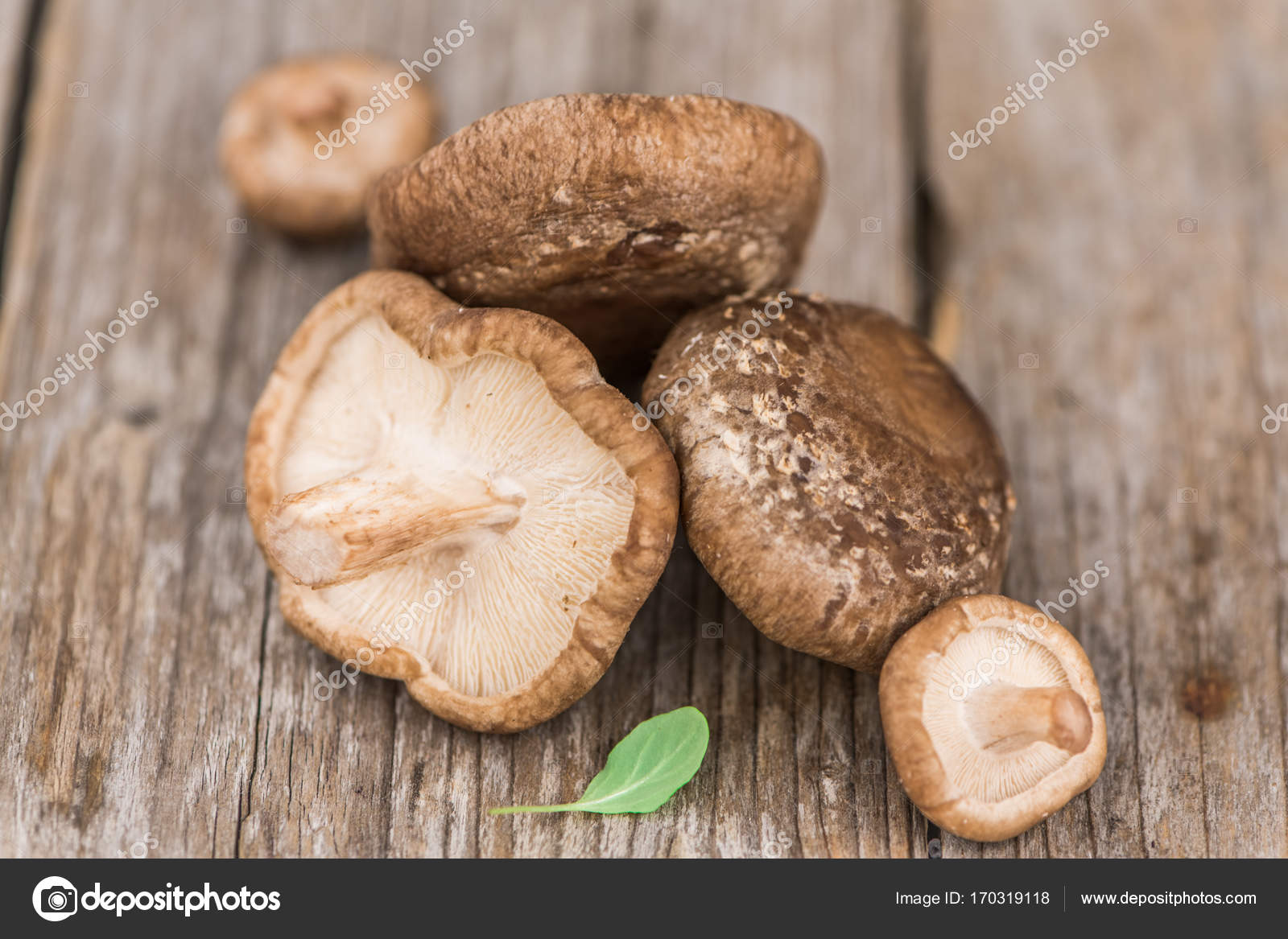 Featured image of post Steps to Prepare Raw Shiitake Mushrooms