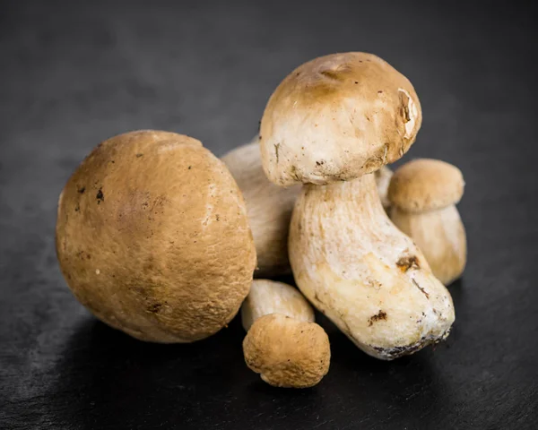 Сырые свиные грибы — стоковое фото