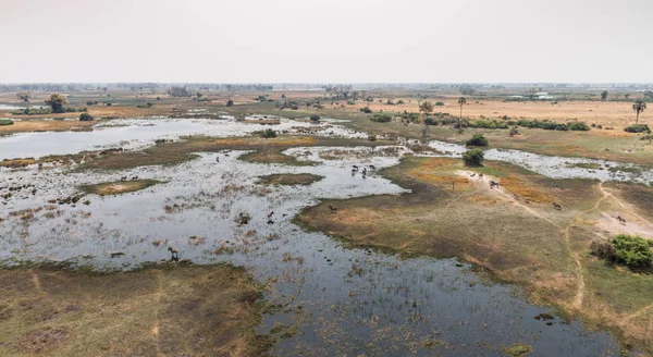 Rzece Okavango Delta — Zdjęcie stockowe