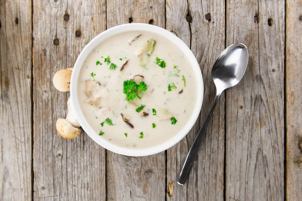 Вкусный суп Porcini — стоковое фото
