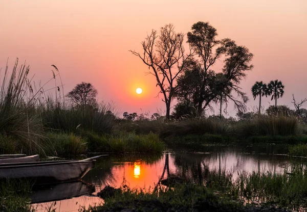 Sunset in Okavango river Delta — Stock Photo, Image