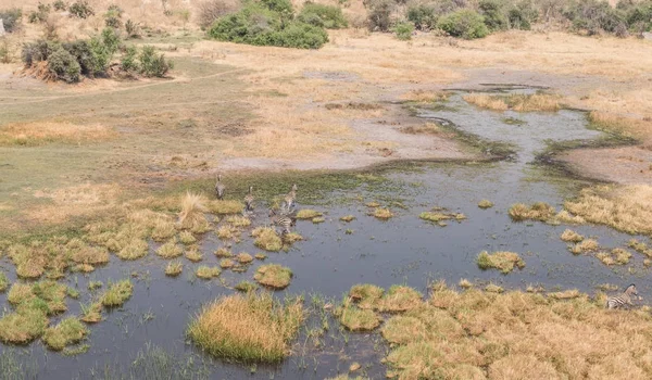 Rzece Okavango Delta — Zdjęcie stockowe