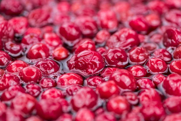 Einige getrocknete Preiselbeeren — Stockfoto