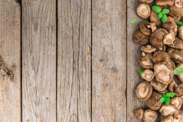 Setas Shiitake, enfoque selectivo — Foto de Stock