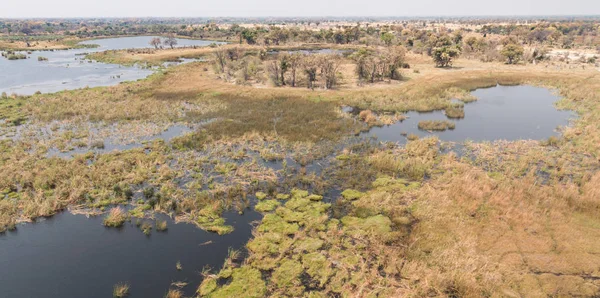 Delta Okawango Botswany — Zdjęcie stockowe