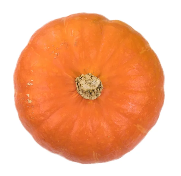 Porcję świeżego Pumpkin — Zdjęcie stockowe