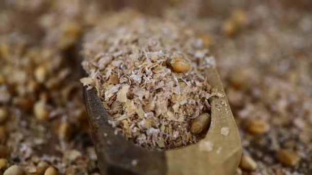 Old Wooden Big Spoon Fresh Wheat Bran — Stock Video