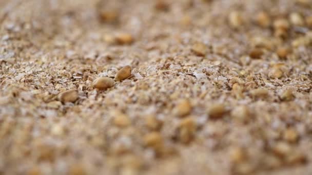 Rotující Pšenice Otrub Jako Bezešvé Smyčka Uhd Záběry — Stock video